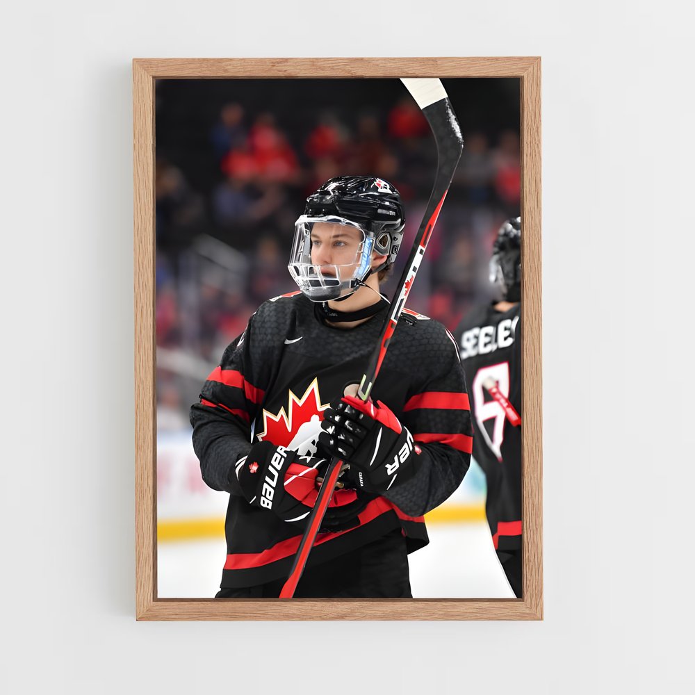 Poster Gardiens de Glace – affiche Hockey sur glace (vue 4)
